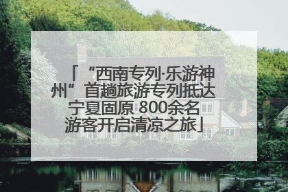 “西南专列·乐游神州”首趟旅游专列抵达宁夏固原 800余名游客开启清凉之旅