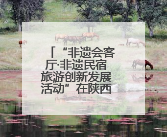 “非遗会客厅·非遗民宿旅游创新发展活动”在陕西留坝举办