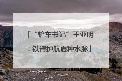 “铲车书记”王亚明：铁臂护航夏种水脉