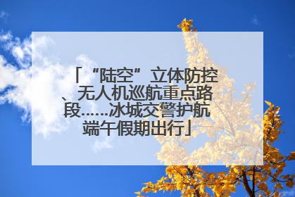 “陆空”立体防控、无人机巡航重点路段……冰城交警护航端午假期出行