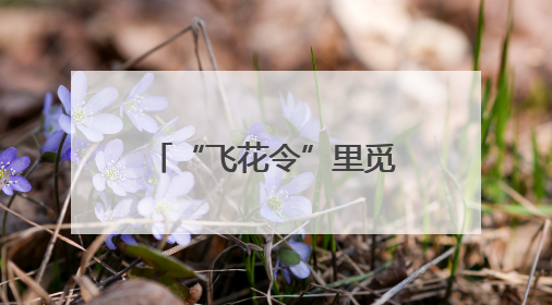 “飞花令”里觅知音！百余名省直机关青年解锁浪漫交友新模式