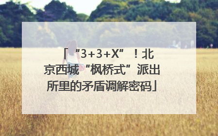 “3+3+X”！北京西城“枫桥式”派出所里的矛盾调解密码