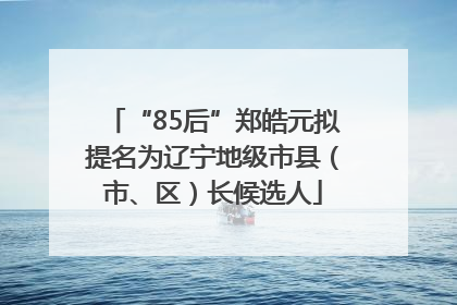 “85后”郑皓元拟提名为辽宁地级市县（市、区）长候选人