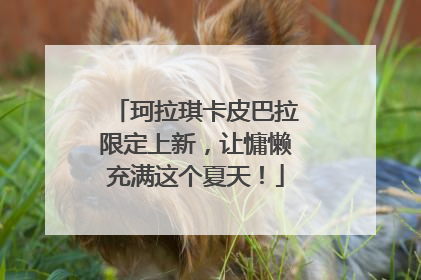 珂拉琪卡皮巴拉限定上新，让慵懒充满这个夏天！