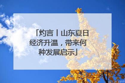灼言丨山东夏日经济升温，带来何种发展启示