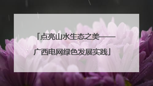 点亮山水生态之美——广西电网绿色发展实践