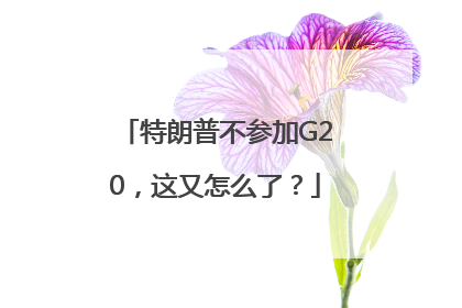 特朗普不参加G20，这又怎么了？