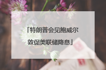 特朗普会见鲍威尔 敦促美联储降息