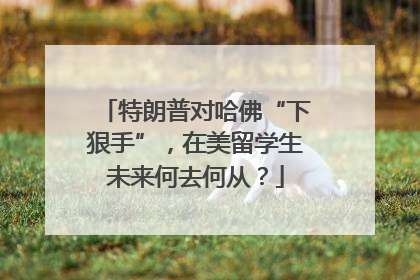 特朗普对哈佛“下狠手”，在美留学生未来何去何从？