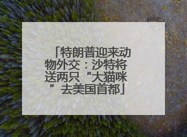 特朗普迎来动物外交：沙特将送两只“大猫咪”去美国首都