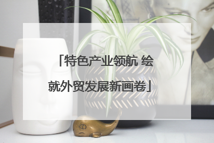 特色产业领航 绘就外贸发展新画卷