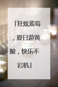 狂炫蓝莓，夏日游黄陂，快乐不宕机
