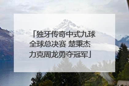 独牙传奇中式九球全球总决赛 楚秉杰力克周龙勇夺冠军