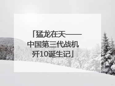 猛龙在天——中国第三代战机歼10诞生记