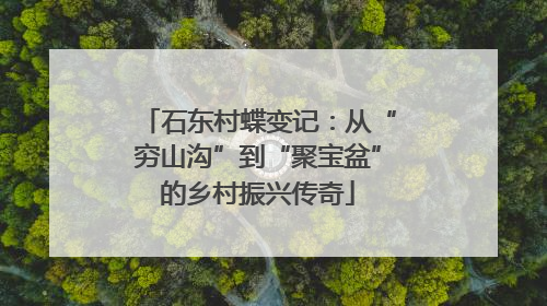 石东村蝶变记：从“穷山沟”到“聚宝盆”的乡村振兴传奇