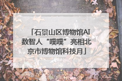 石景山区博物馆AI数智人“噗噗”亮相北京市博物馆科技月
