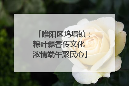 睢阳区坞墙镇：粽叶飘香传文化 浓情端午聚民心