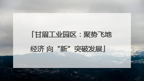 甘眉工业园区：聚势飞地经济 向“新”突破发展