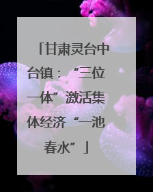甘肃灵台中台镇：“三位一体”激活集体经济“一池春水”