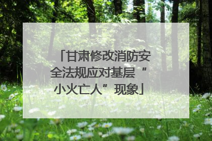 甘肃修改消防安全法规应对基层“小火亡人”现象