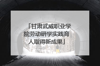 甘肃武威职业学院劳动研学实践育人取得新成果