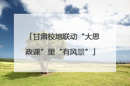 甘肃校地联动“大思政课”里“有风景”