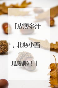 皮薄多汁，北务小西瓜熟啦！