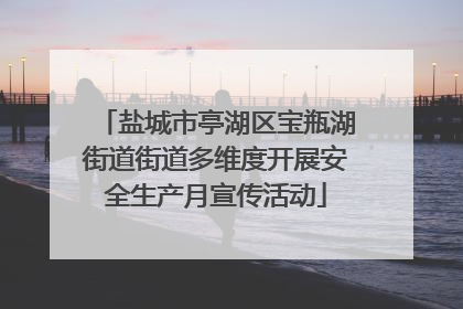 盐城市亭湖区宝瓶湖街道街道多维度开展安全生产月宣传活动