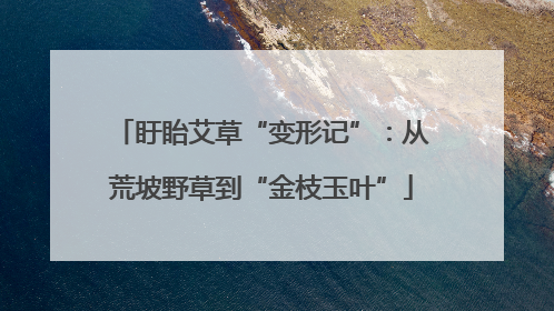 盱眙艾草“变形记”：从荒坡野草到“金枝玉叶”