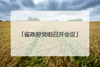 省政府党组召开会议
