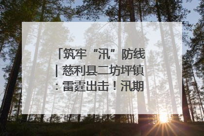 筑牢“汛”防线｜慈利县二坊坪镇：雷霆出击！汛期捕鱼被紧急叫停