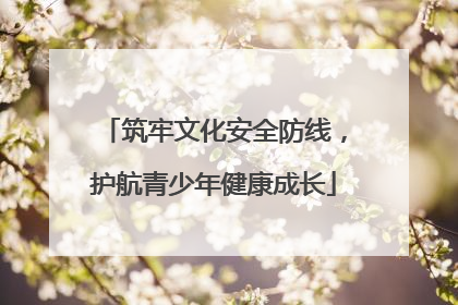 筑牢文化安全防线，护航青少年健康成长