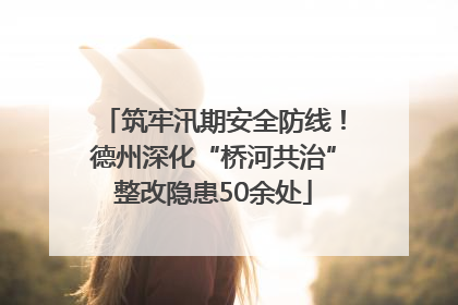 筑牢汛期安全防线！德州深化“桥河共治”整改隐患50余处