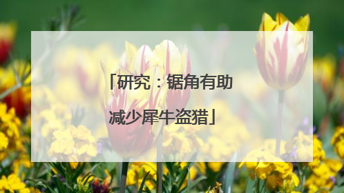 研究：锯角有助减少犀牛盗猎