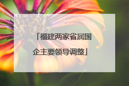 福建两家省属国企主要领导调整