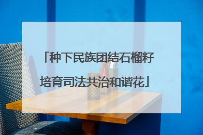 种下民族团结石榴籽 培育司法共治和谐花