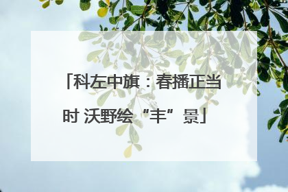 科左中旗：春播正当时 沃野绘“丰”景