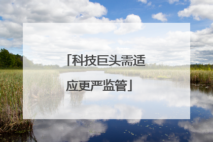科技巨头需适应更严监管