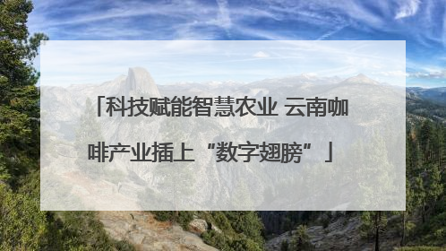 科技赋能智慧农业 云南咖啡产业插上“数字翅膀”