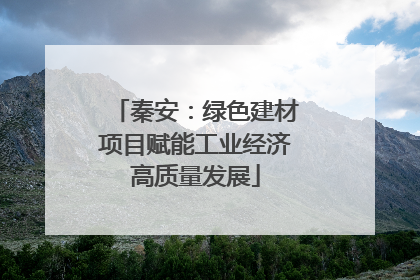 秦安：绿色建材项目赋能工业经济高质量发展