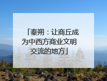 秦朔：让商丘成为中西方商业文明交流的地方
