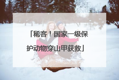 稀客！国家一级保护动物穿山甲获救