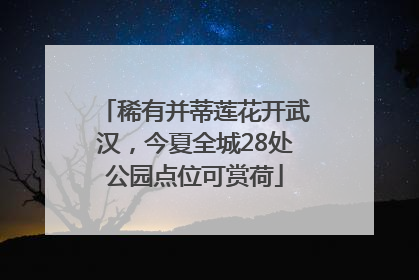 稀有并蒂莲花开武汉，今夏全城28处公园点位可赏荷