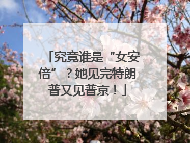 究竟谁是“女安倍”？她见完特朗普又见普京！