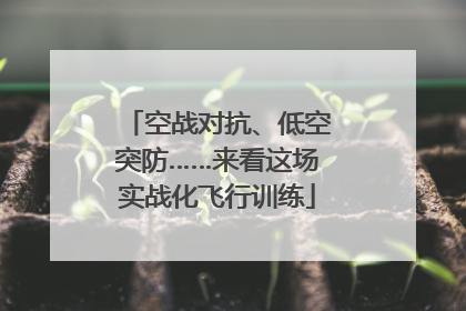 空战对抗、低空突防……来看这场实战化飞行训练