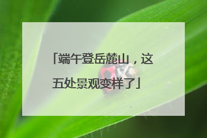 端午登岳麓山，这五处景观变样了