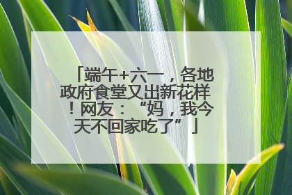 端午+六一，各地政府食堂又出新花样！网友：“妈，我今天不回家吃了”