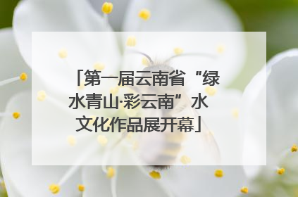 第一届云南省“绿水青山·彩云南”水文化作品展开幕