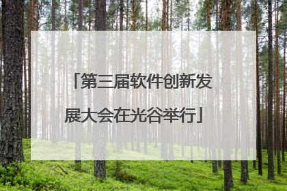 第三届软件创新发展大会在光谷举行
