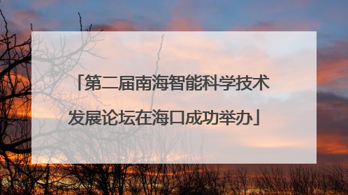 第二届南海智能科学技术发展论坛在海口成功举办